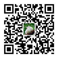除塵設(shè)備_脫硝脫硫設(shè)備_污水處理_煙氣粉塵治理_唐山鉑銳環(huán)?？萍加邢薰?/></div>
      <!--二維碼結(jié)束-->
      <div   id=
